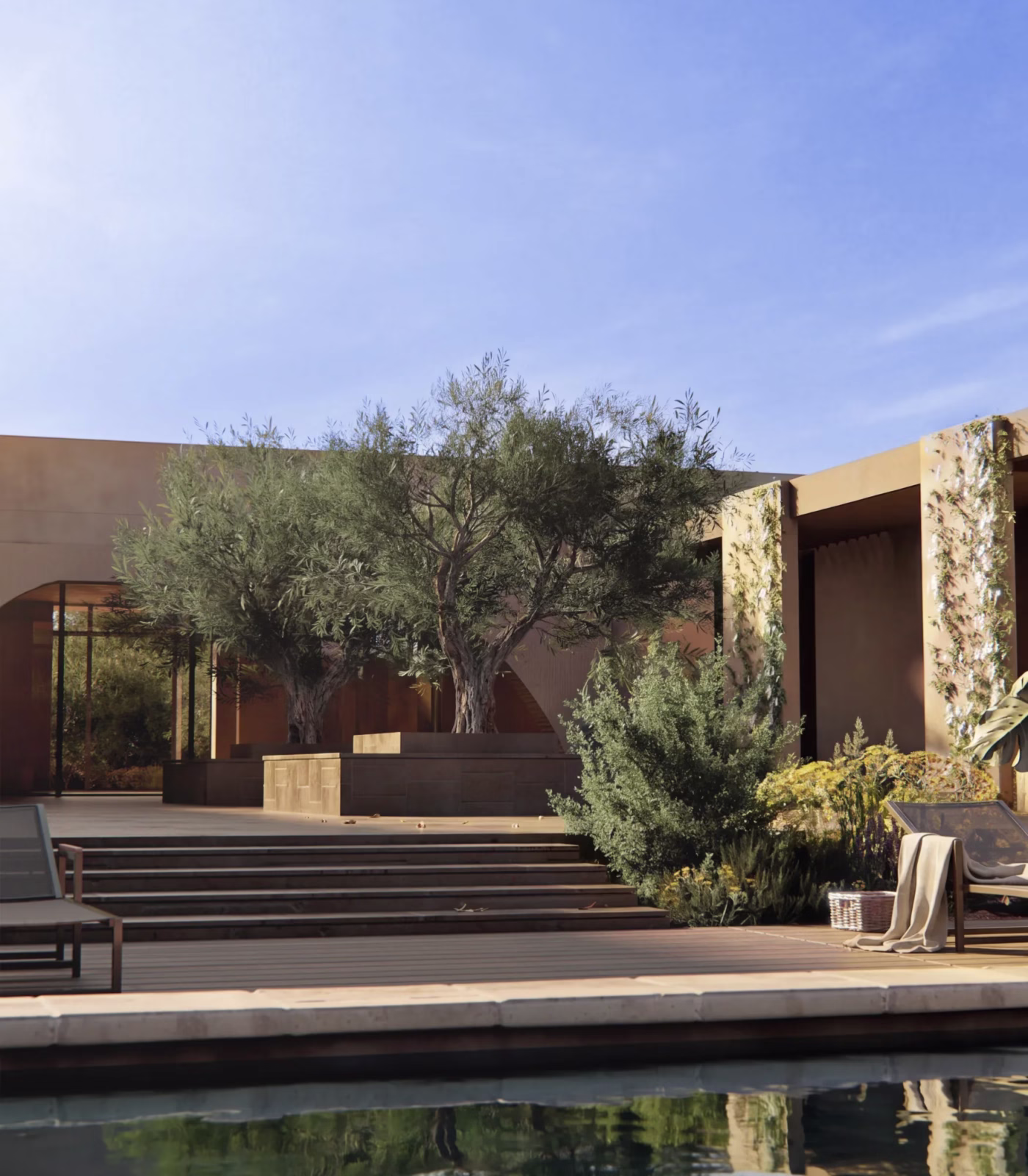Gradonata in pietra e grandi alberi di ulivo nello spazio esterno di una villa contemporanea a Noto con solarium e piscina.